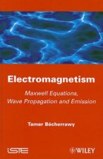 Electromagnetism - Maxwell Equations, Wave Propagation and Emission