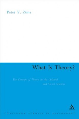 What is Theory?