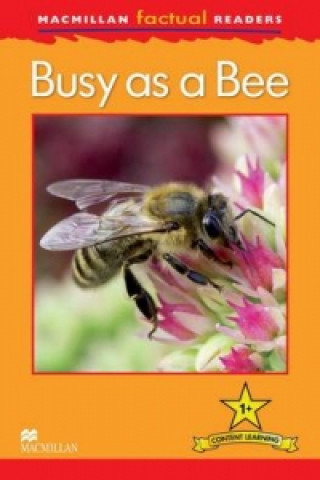 Macmillan Factual Readers: Busy as a Bee