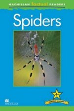 Macmillan Factual Readers - Spiders - Level 4