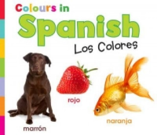 Colours in Spanish