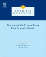 Evolution of the Primate Brain