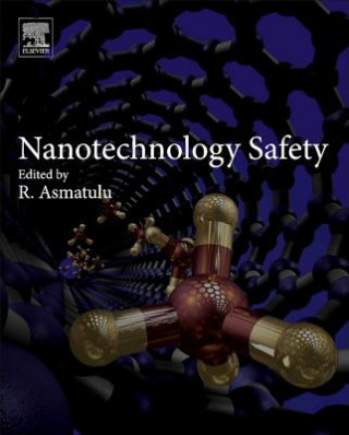 Nanotechnology Safety