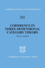 Coherence in Three-Dimensional Category Theory