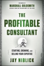 Profitable Consultant