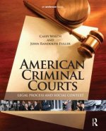 American Criminal Courts