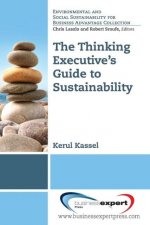 Applying Systems Thinking to Understanding Sustainable Busin