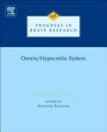 Orexin/Hypocretin System