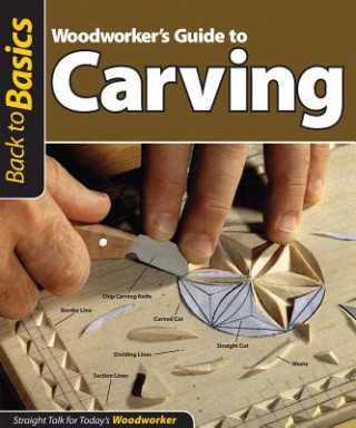 Woodworker's Guide to Carving