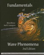 Fundamentals of Wave Phenomena