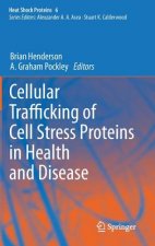 Cellular Trafficking of Cell Stress Proteins in Health and Disease