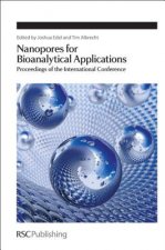 Nanopores for Bioanalytical Applications