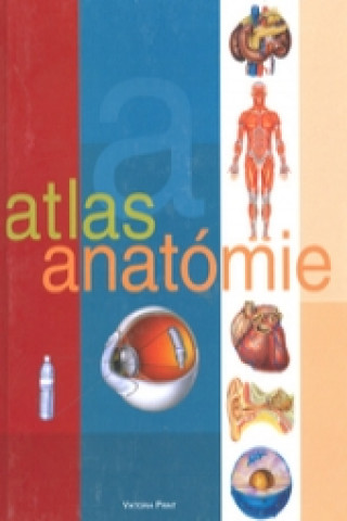 Atlas anatómie