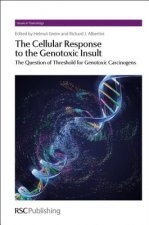 Cellular Response to the Genotoxic Insult