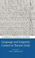 Language and Linguistic Contact in Ancient Sicily