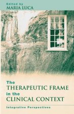 Therapeutic Frame in the Clinical Context