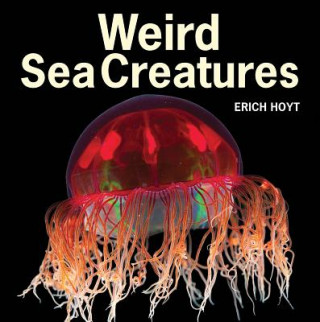 Weird Sea Creatures