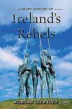 Short History of Ireland's Rebels