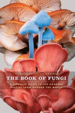 Book of Fungi