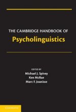 Cambridge Handbook of Psycholinguistics