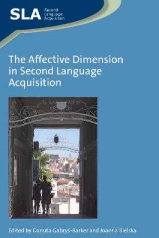 Affective Dimension in Second Language Acquisition