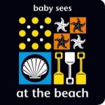 Baby Sees: At the Beach