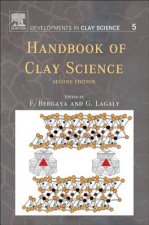 Handbook Of Clay Science