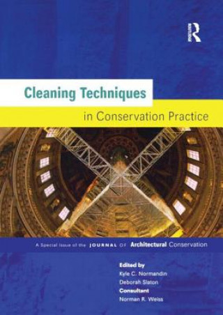 Cleaning Techniques in Conservation Practice