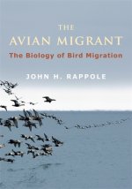 Avian Migrant