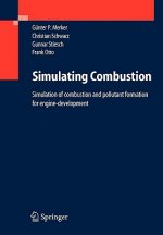 Simulating Combustion