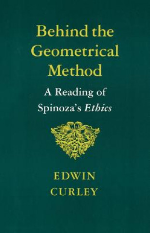 Behind the Geometrical Method