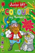 Junior Art Colour By Numbers: Lion