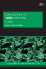 Commons and Anticommons