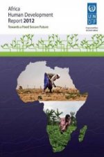Africa human development report 2012