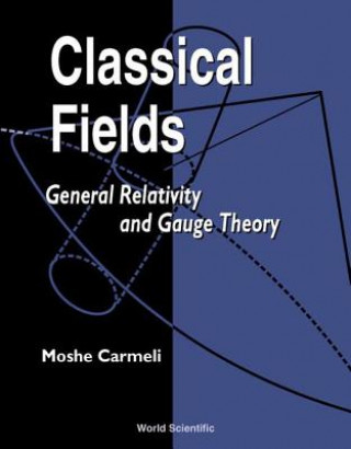 Classical Fields: General Relativity And Gauge Theory
