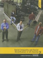 Social Inequality and Social Stratification in U.S. Society