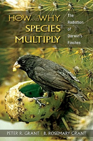 How and Why Species Multiply