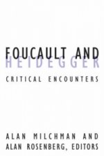 Foucault And Heidegger