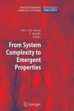 From System Complexity to Emergent Properties