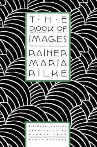 BOOK OF IMAGES