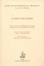 Bruit Des Armes Mises En Formes Et Desi