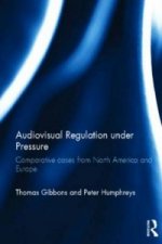 Audiovisual Regulation under Pressure