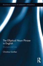 Elliptical Noun Phrase in English