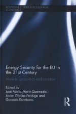 Energy Security for the EU in the 21st Century