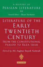 Literature of the Early Twentieth Century: From the Constitutional Period to Reza Shah