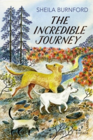 Incredible Journey (Sheila Burnford)(Miękka)
