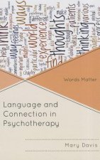 Language and Connection in Psychotherapy