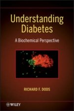 Understanding Diabetes - A Biochemical Perspective