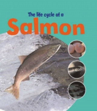 Learning About Life Cycles: The Life Of A Salmon