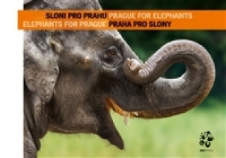 Sloni pro Prahu - Praha pro slony